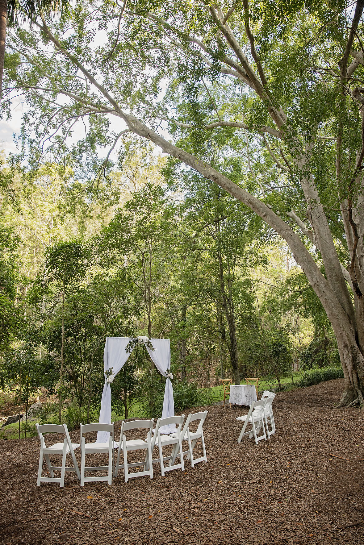 White Americana chairs (up to 42 available, including 2 for signing table)